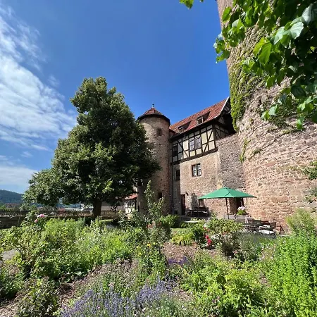 Alte Foersterei - Elegantes Apartment In Der Historischen Hinterburg Schlitz - Nahe Fulda Und Bad Hersfeld Eksteriør billede
